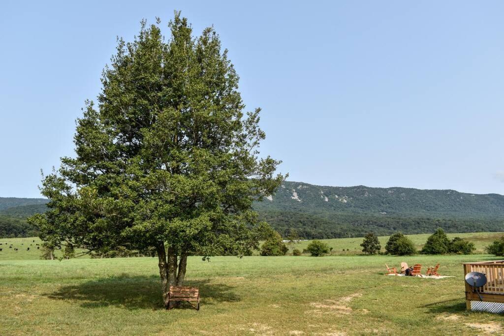 Holly Tree Retreat Located In Beautiful Luray, Va. 빌라 외부 사진