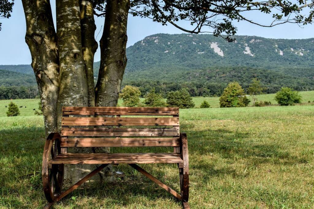 Holly Tree Retreat Located In Beautiful Luray, Va. 빌라 외부 사진